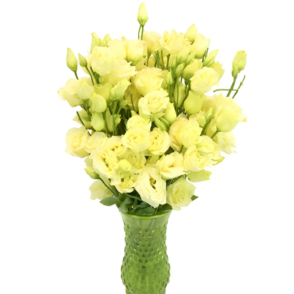 Champagne Mini Lisianthus Flower
