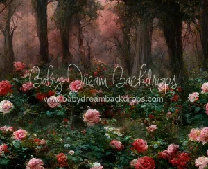 Dreamy Romance (LL)