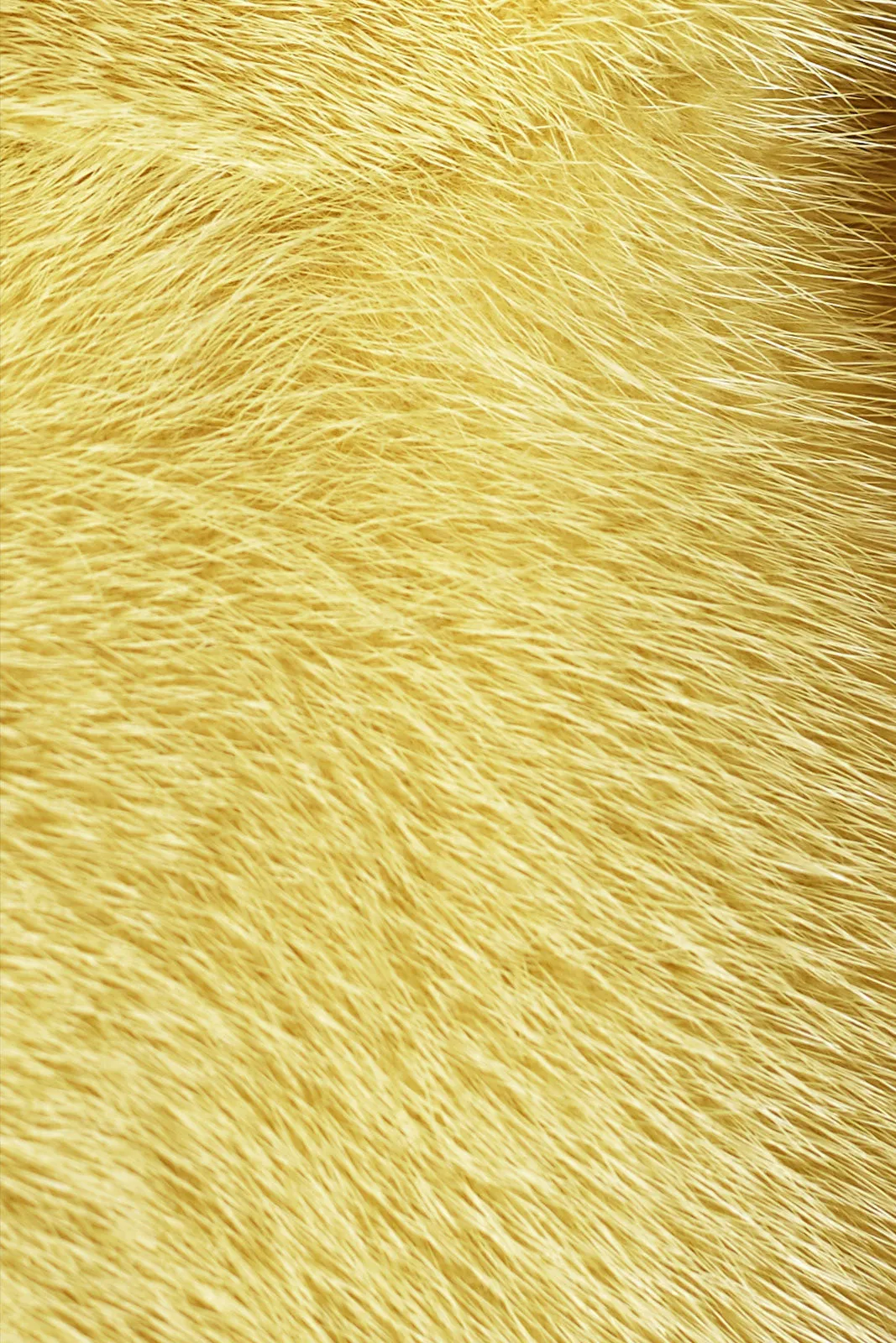Esmeralda Mink Fur Jacket