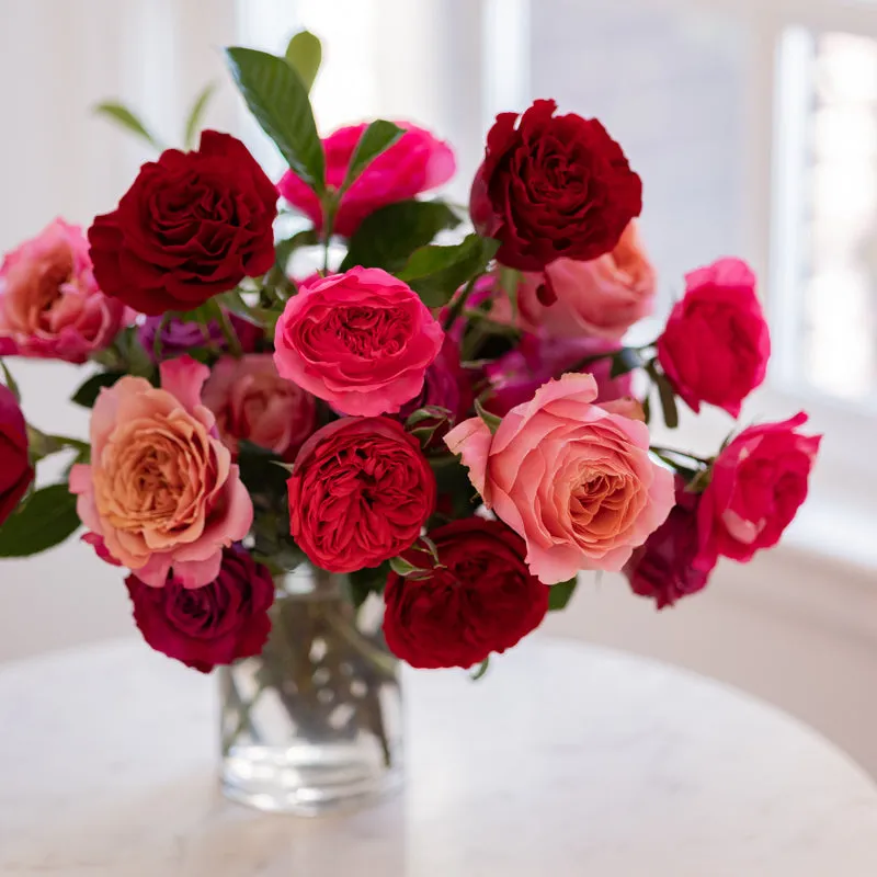 Julia Bouquet