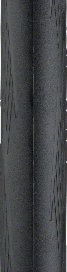 Michelin Power All Season Tire