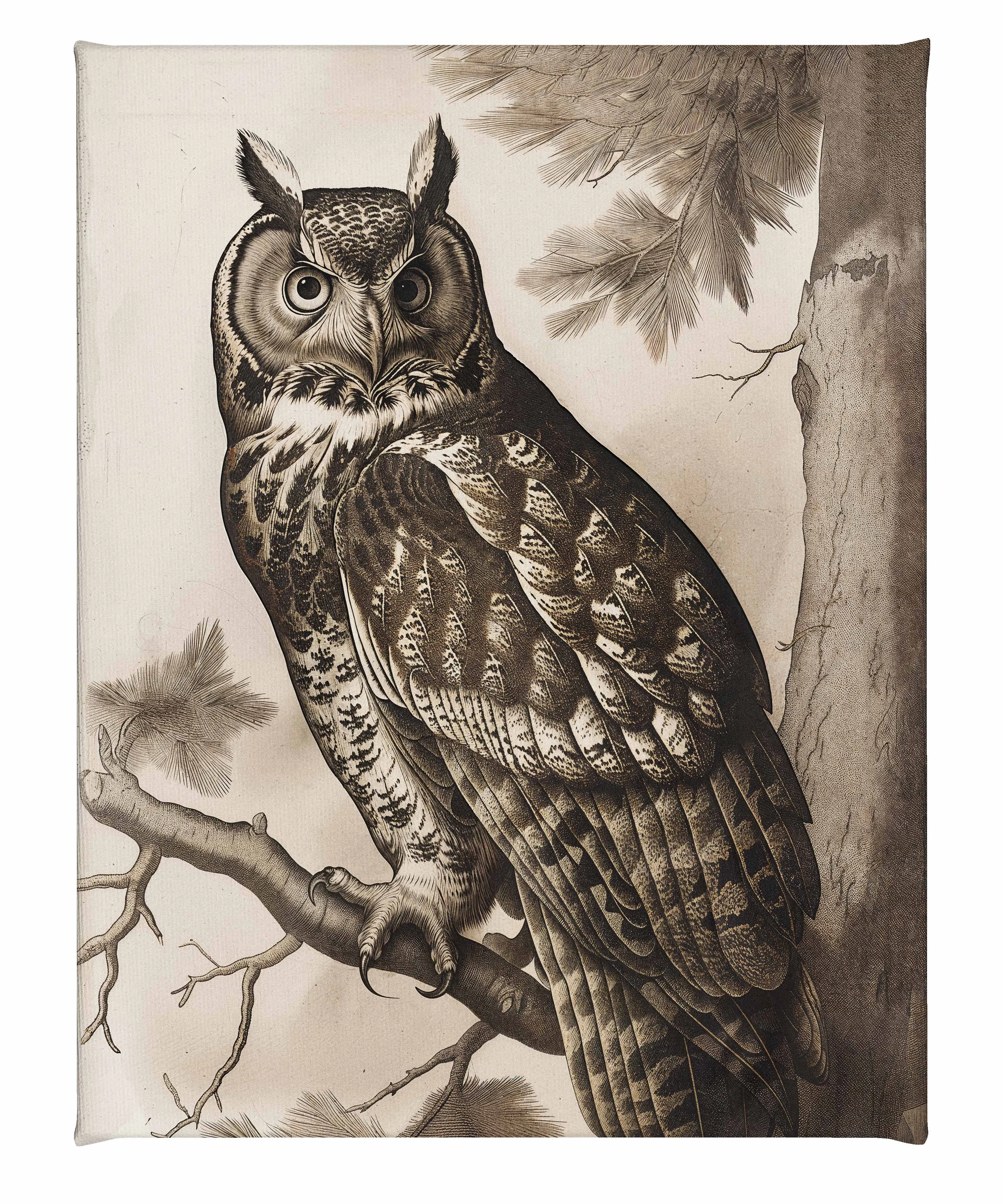 Silent Guardian - Great Horned Owl - Gallery Wrapped Canvas