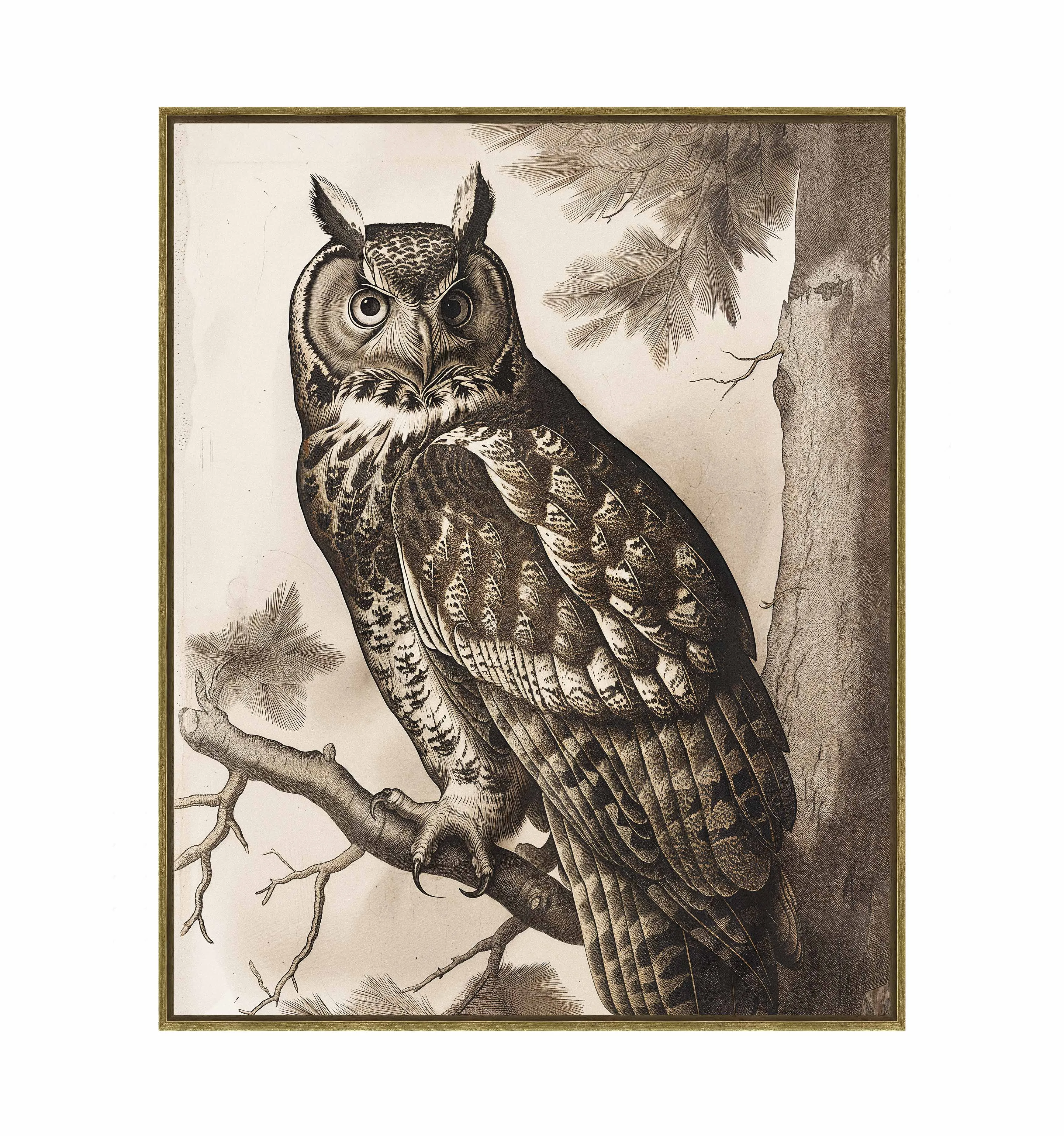 Silent Guardian - Great Horned Owl - Gallery Wrapped Canvas