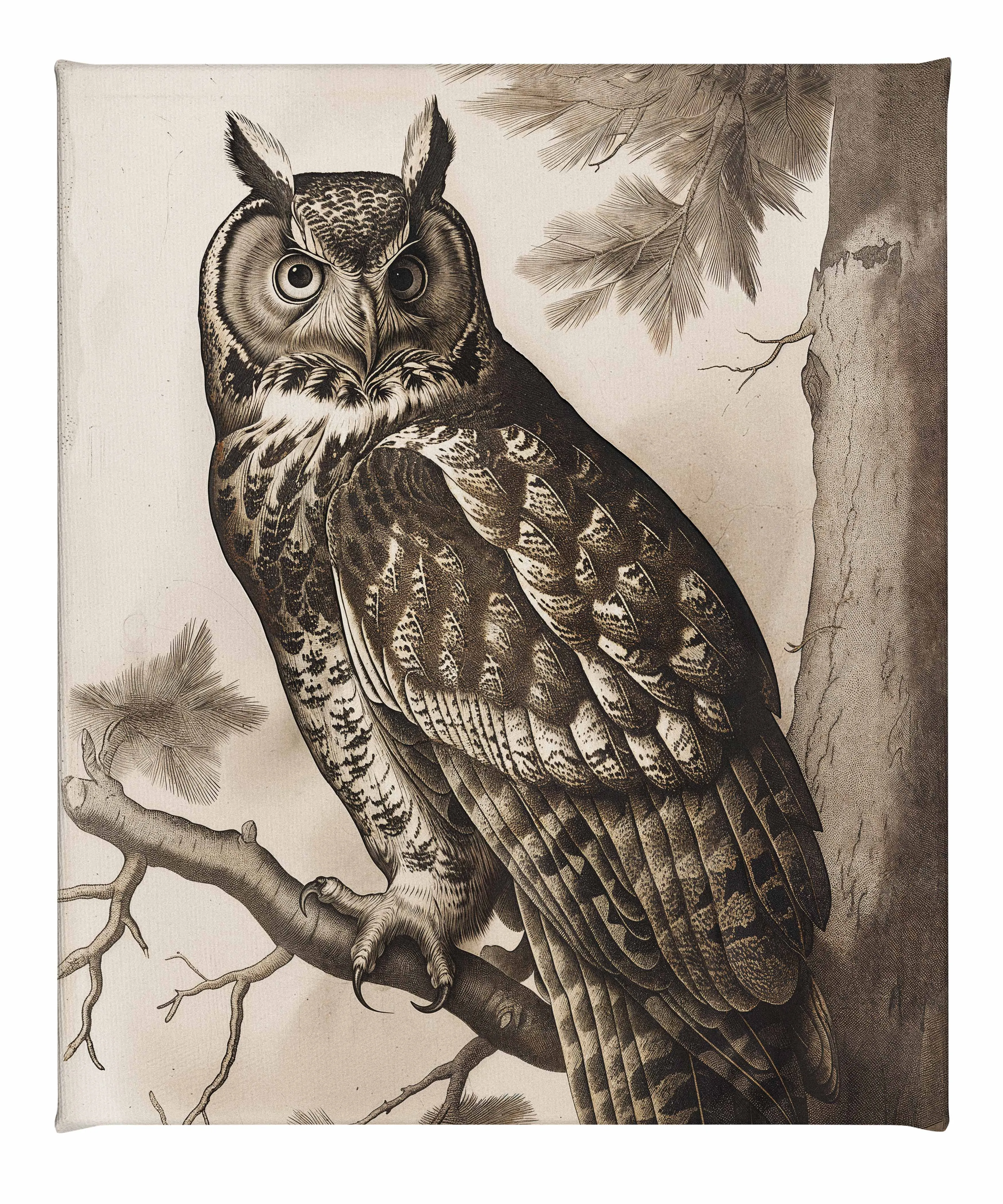 Silent Guardian - Great Horned Owl - Gallery Wrapped Canvas