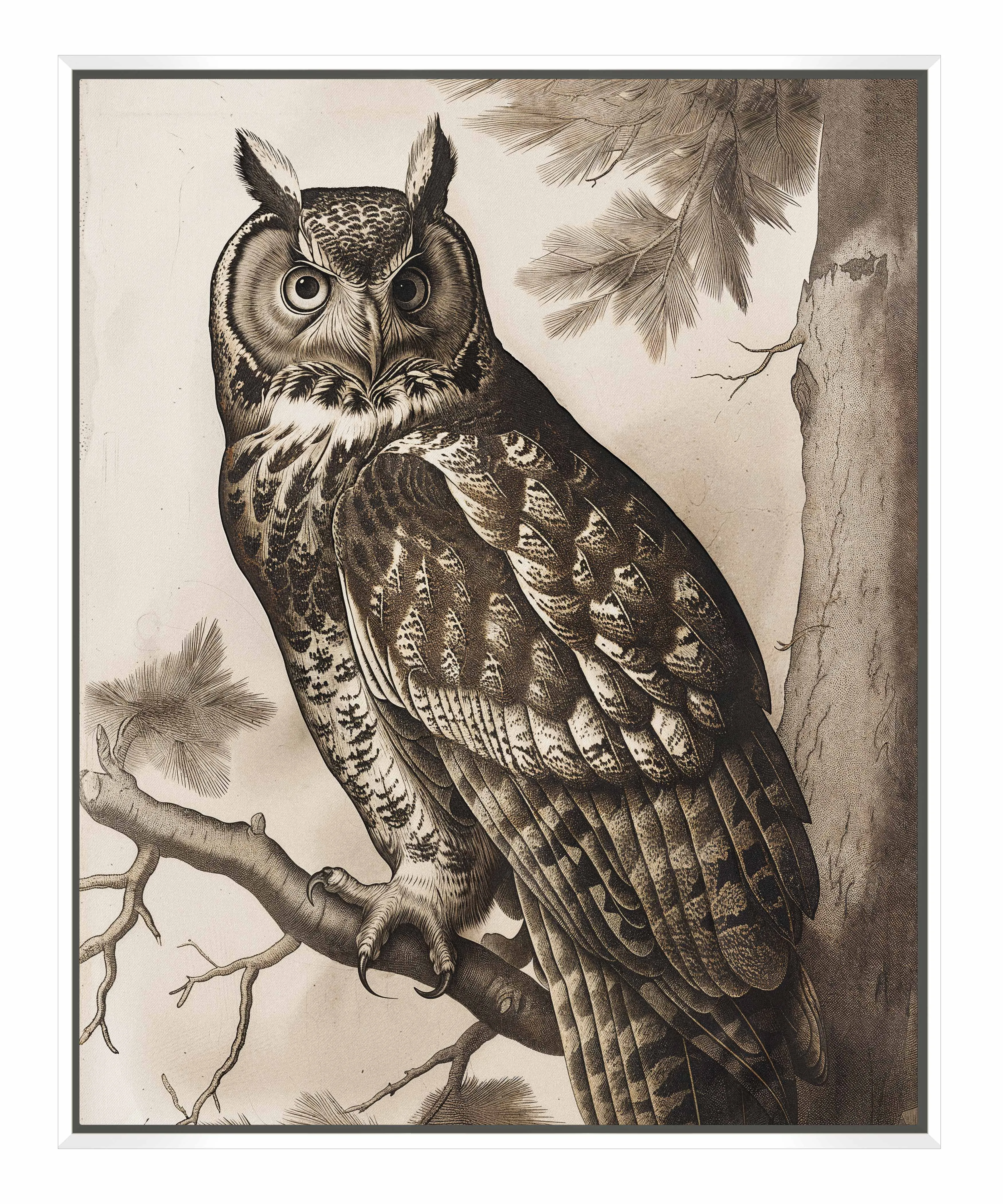 Silent Guardian - Great Horned Owl - Gallery Wrapped Canvas