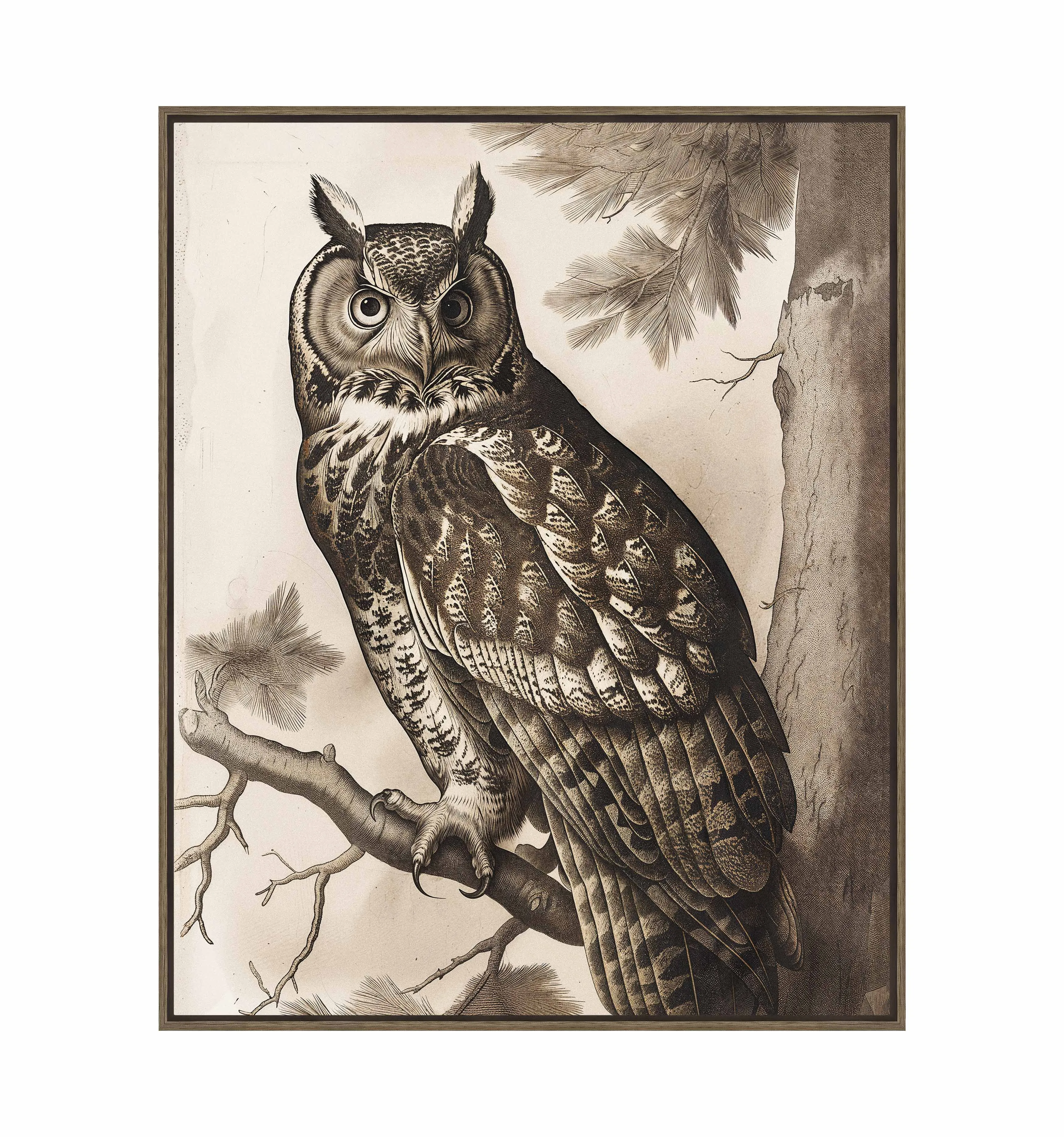 Silent Guardian - Great Horned Owl - Gallery Wrapped Canvas