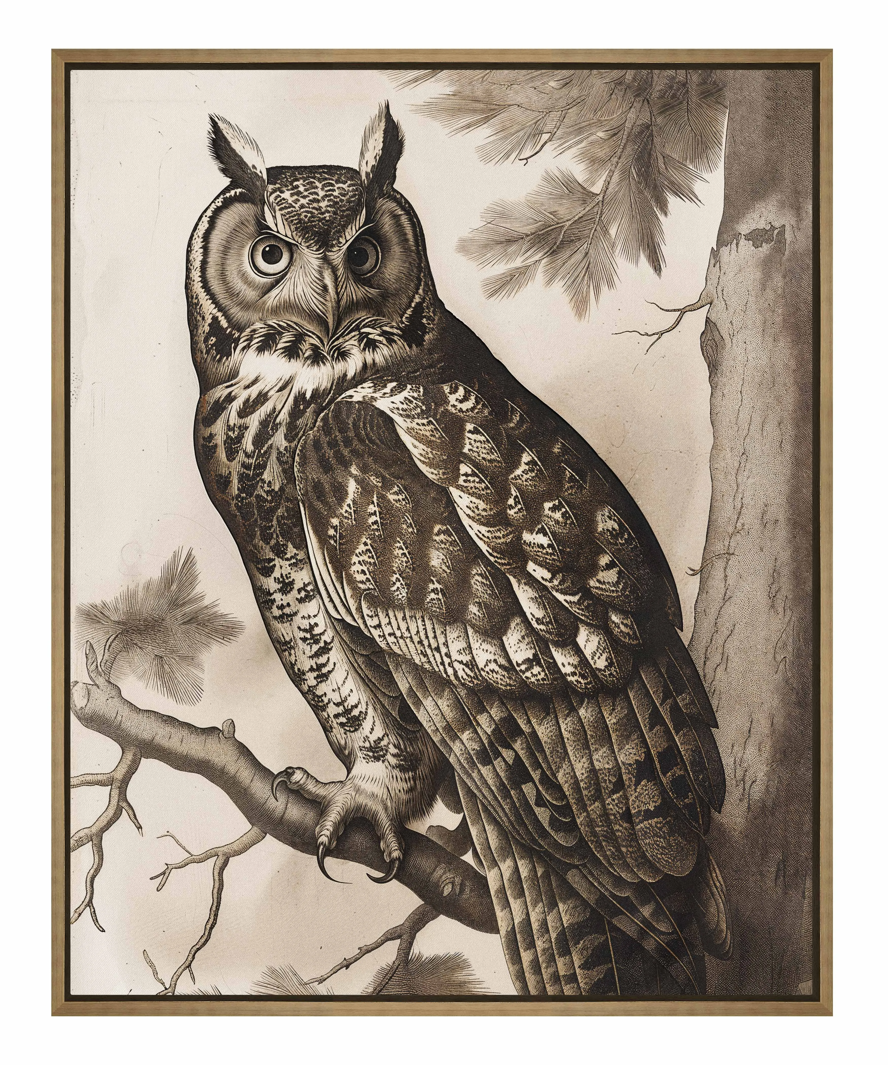 Silent Guardian - Great Horned Owl - Gallery Wrapped Canvas