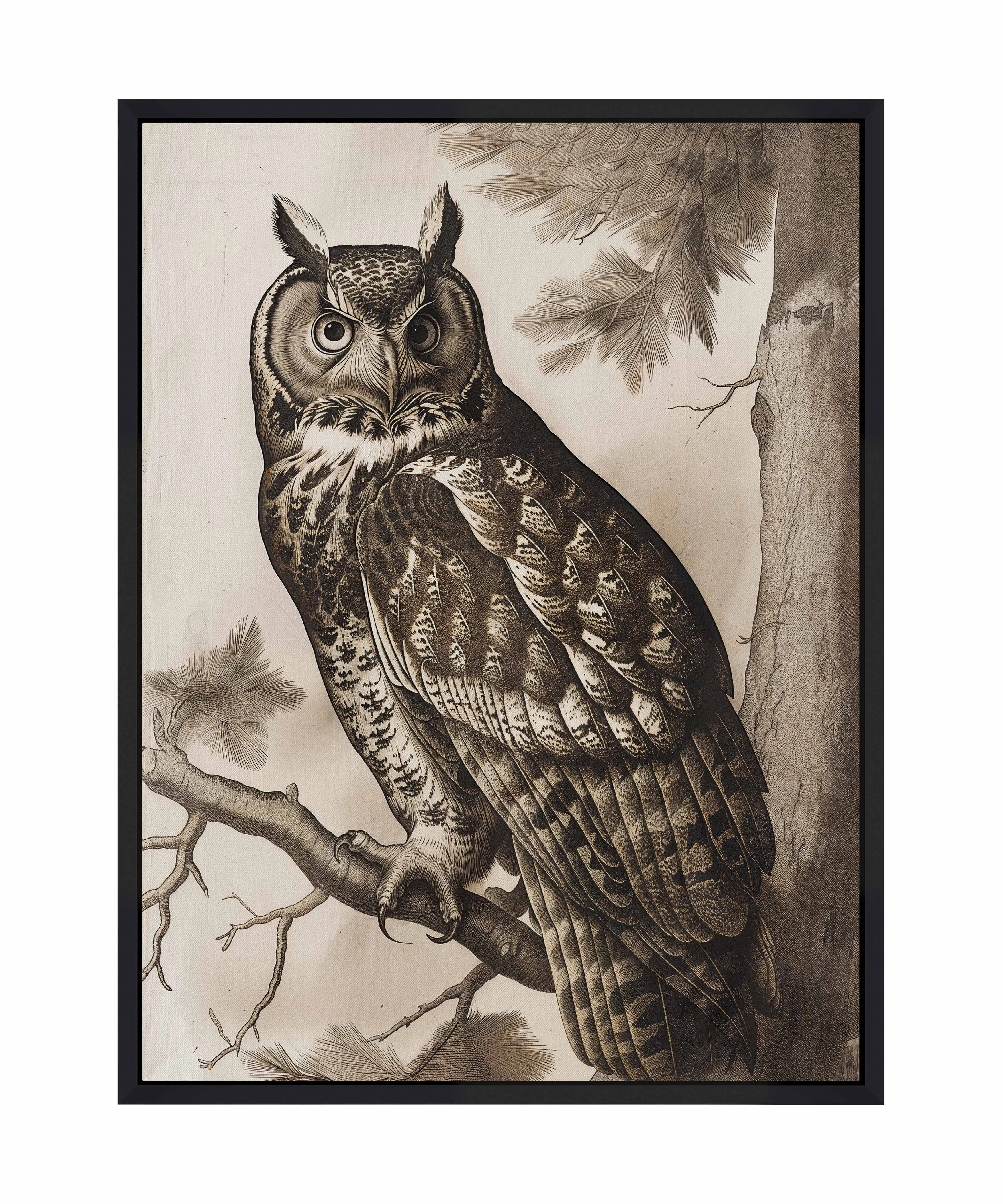 Silent Guardian - Great Horned Owl - Gallery Wrapped Canvas