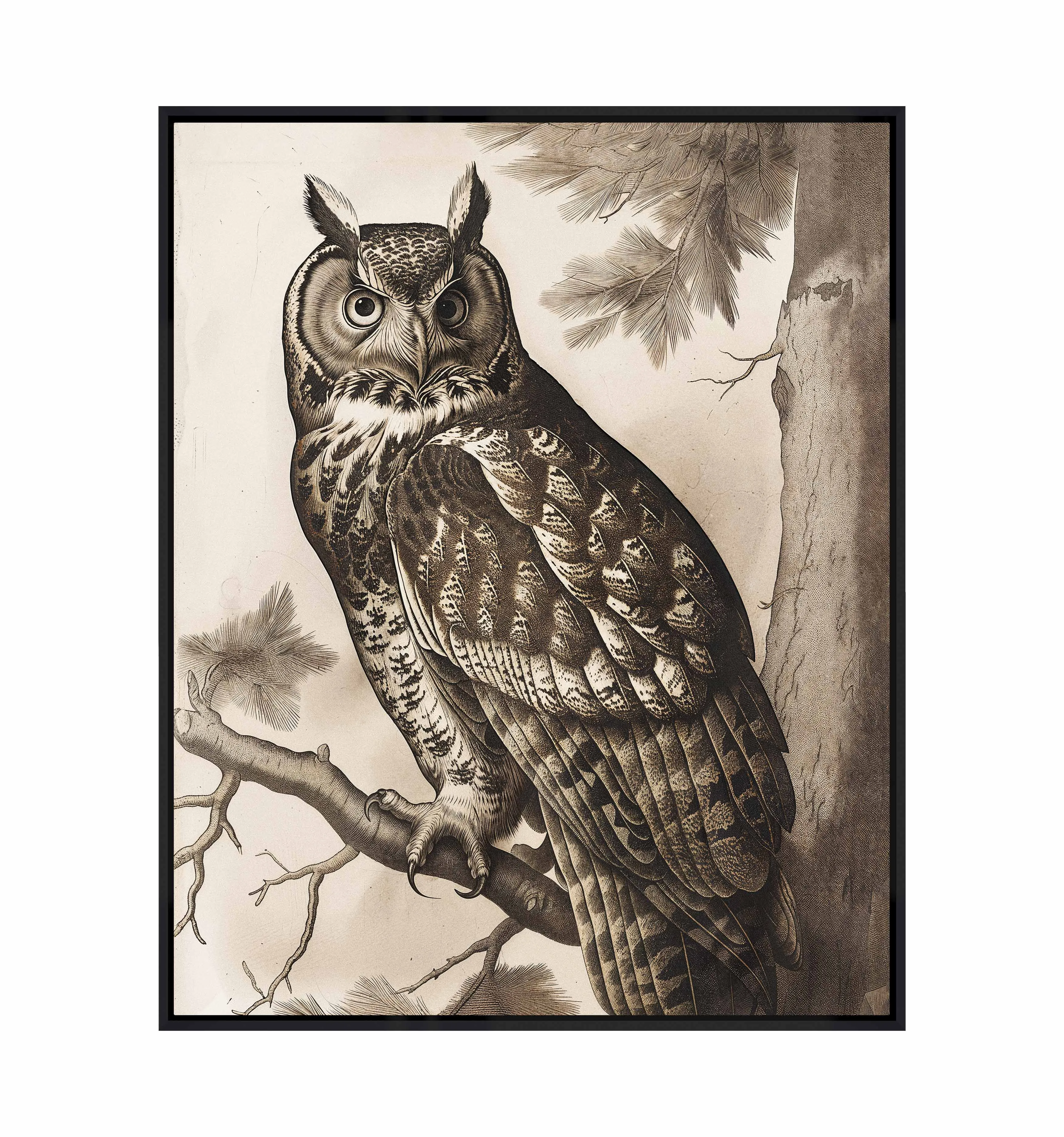 Silent Guardian - Great Horned Owl - Gallery Wrapped Canvas