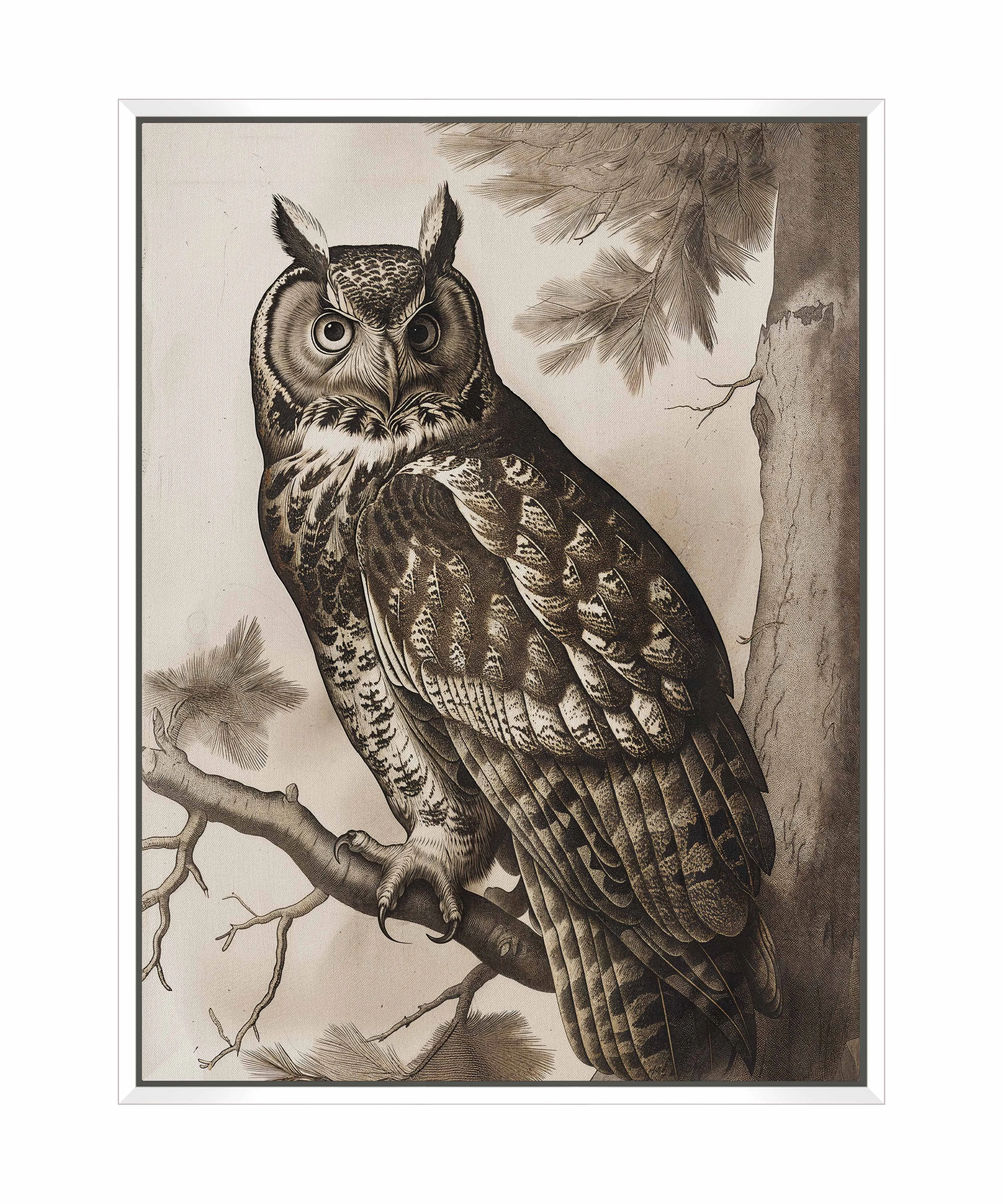 Silent Guardian - Great Horned Owl - Gallery Wrapped Canvas