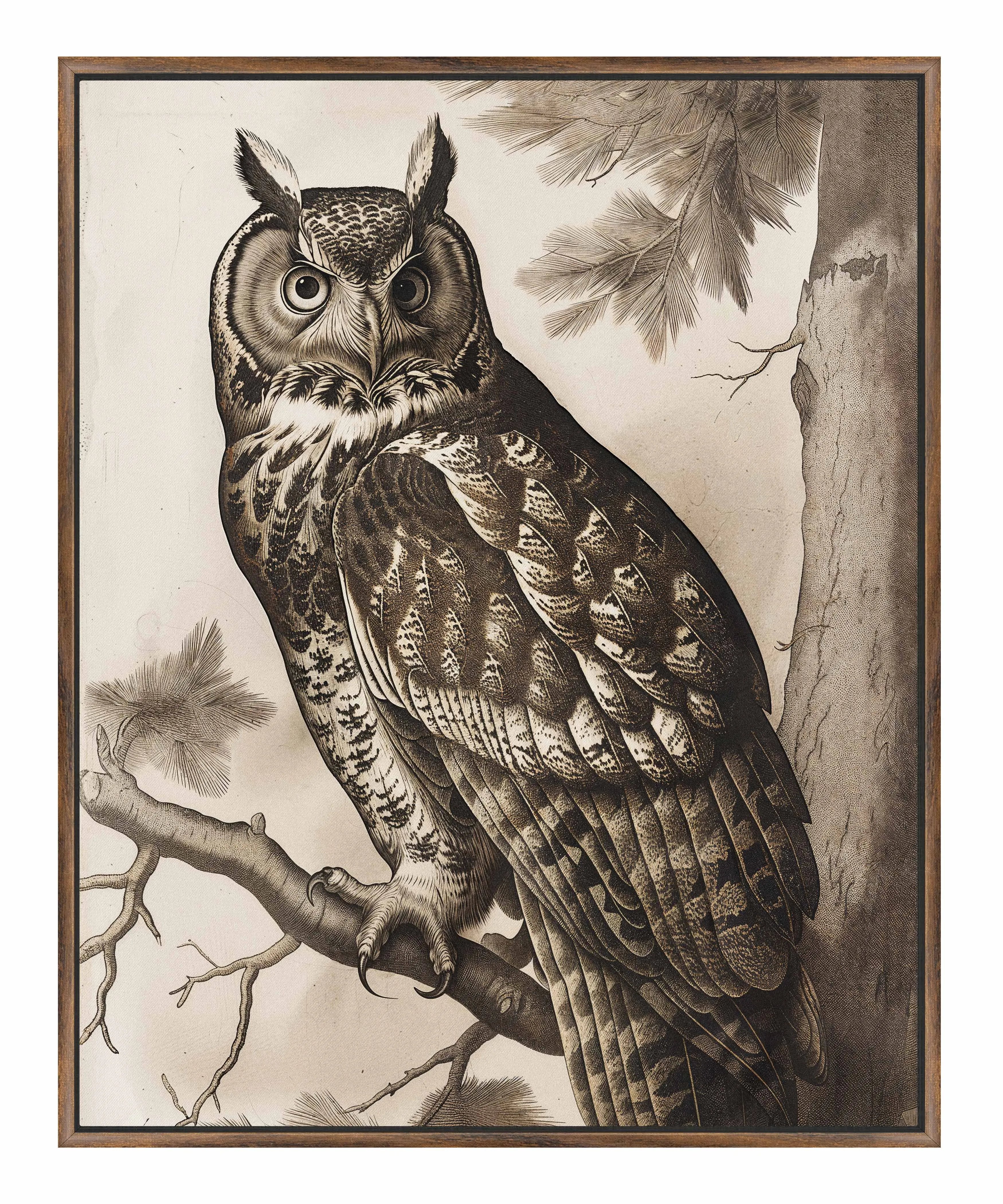 Silent Guardian - Great Horned Owl - Gallery Wrapped Canvas