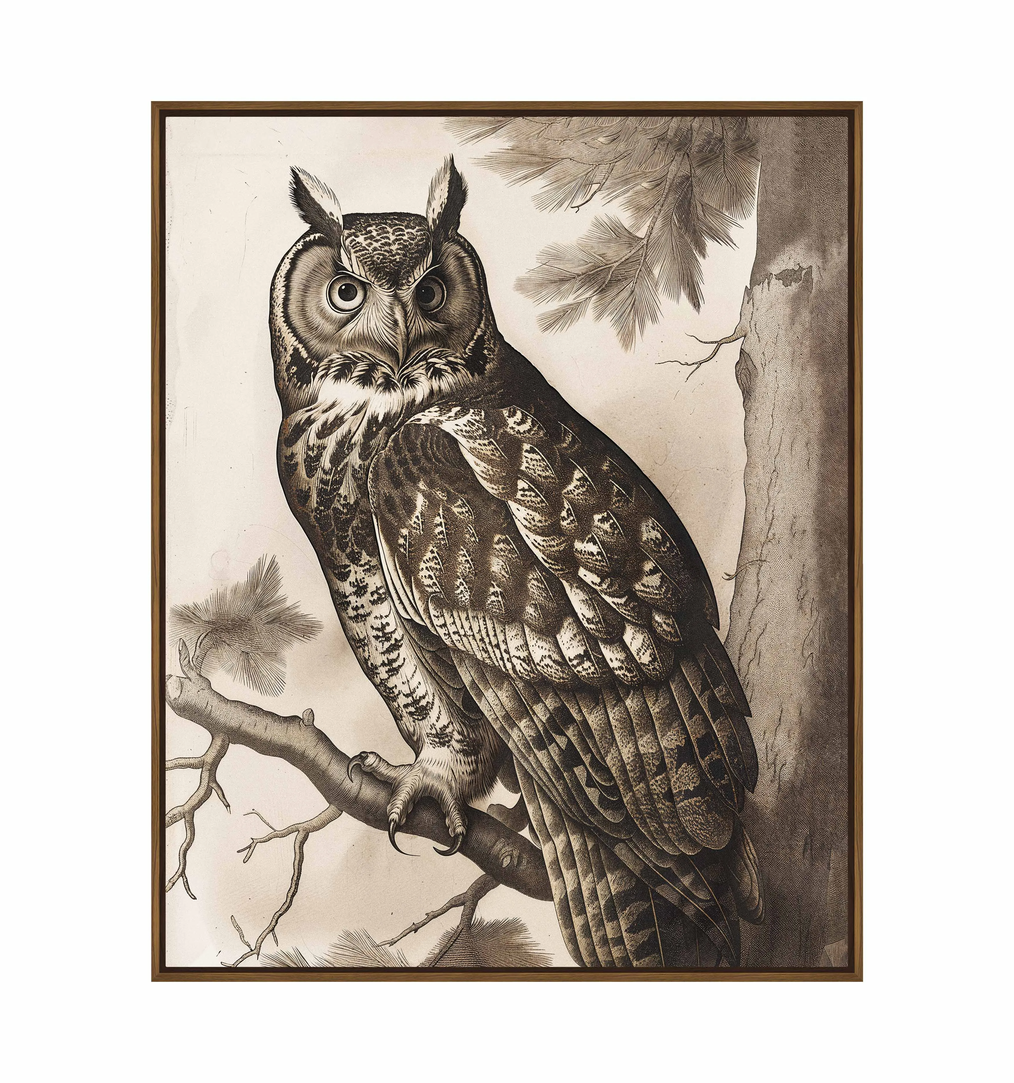 Silent Guardian - Great Horned Owl - Gallery Wrapped Canvas