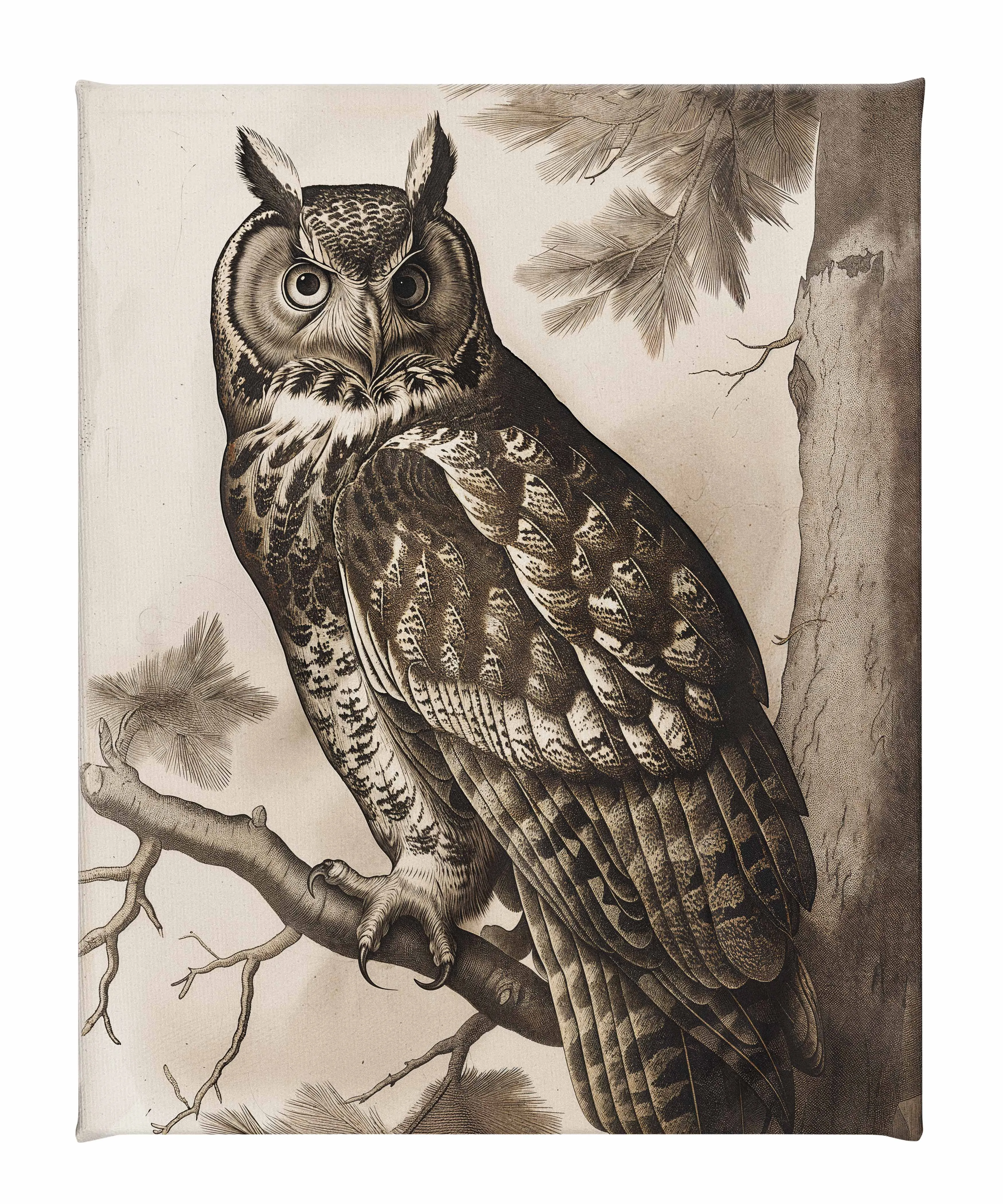 Silent Guardian - Great Horned Owl - Gallery Wrapped Canvas