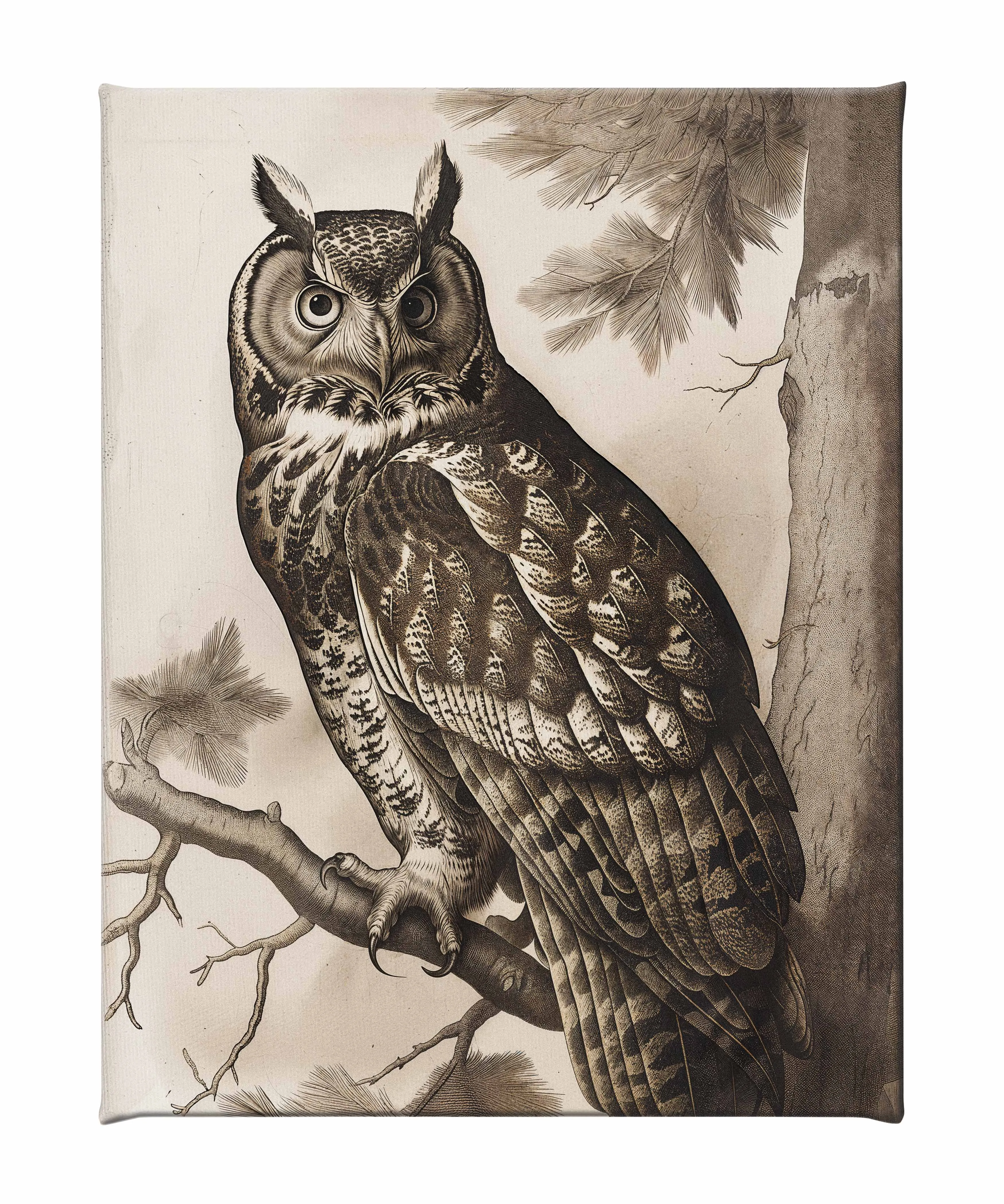 Silent Guardian - Great Horned Owl - Gallery Wrapped Canvas
