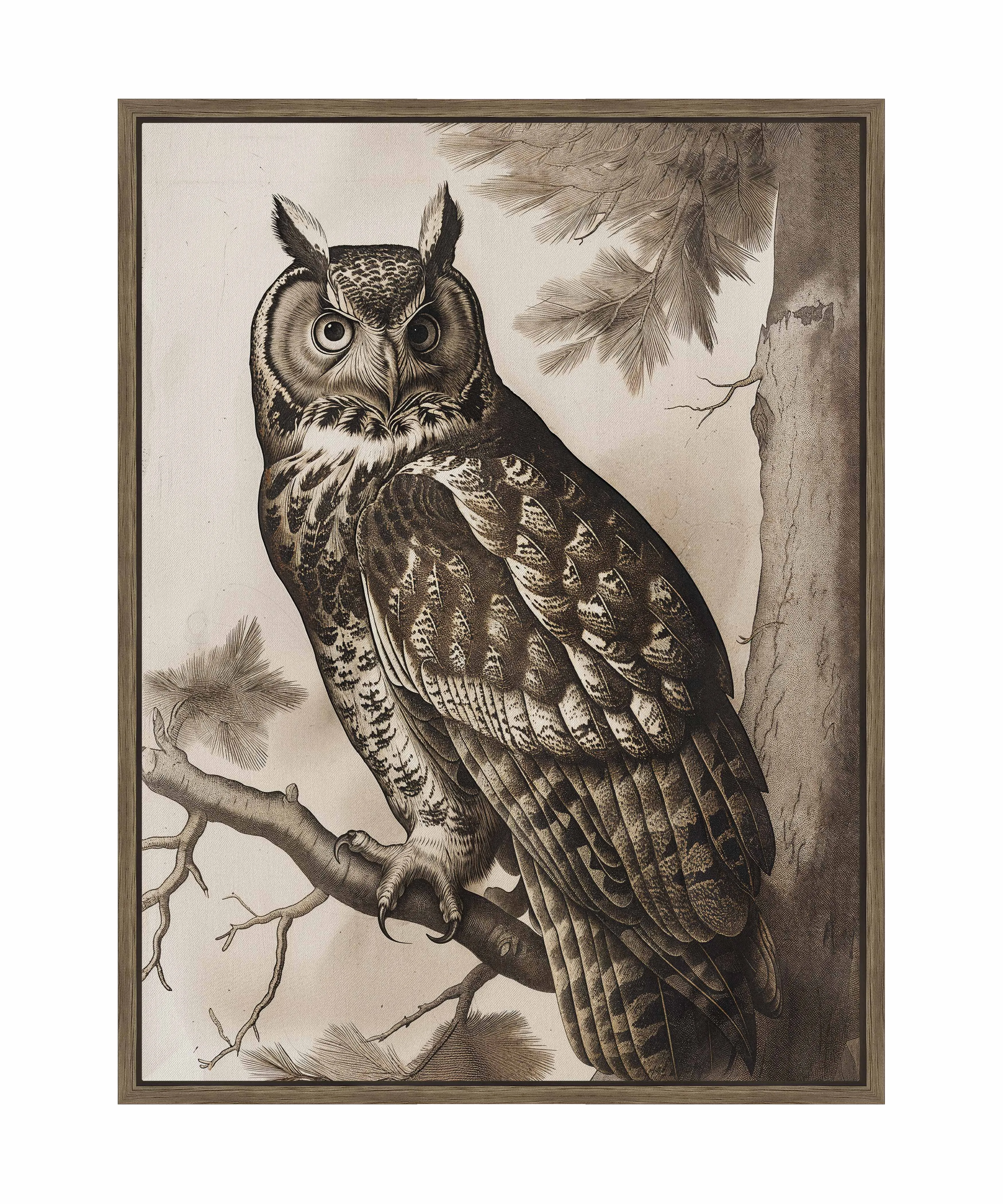 Silent Guardian - Great Horned Owl - Gallery Wrapped Canvas