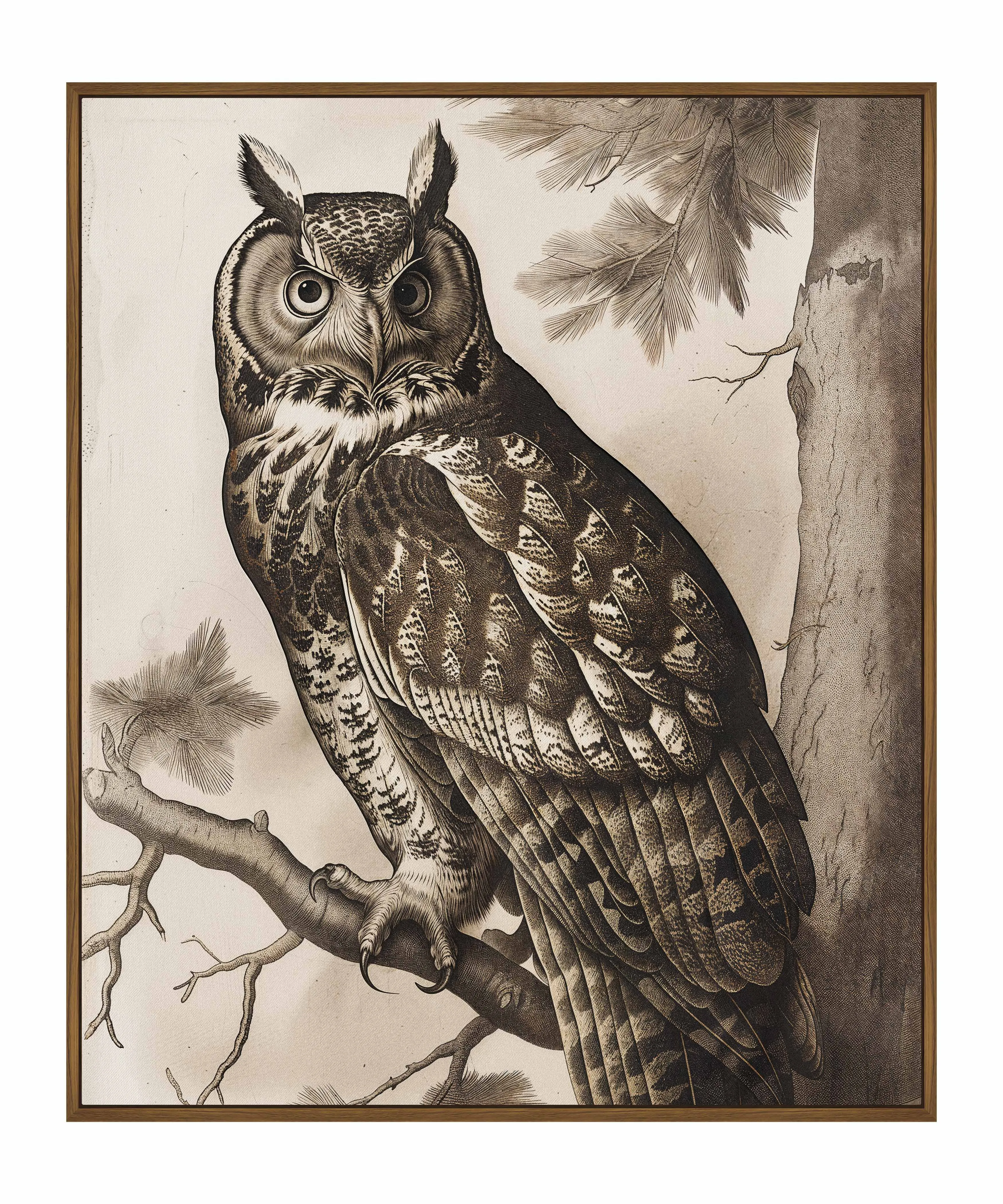Silent Guardian - Great Horned Owl - Gallery Wrapped Canvas