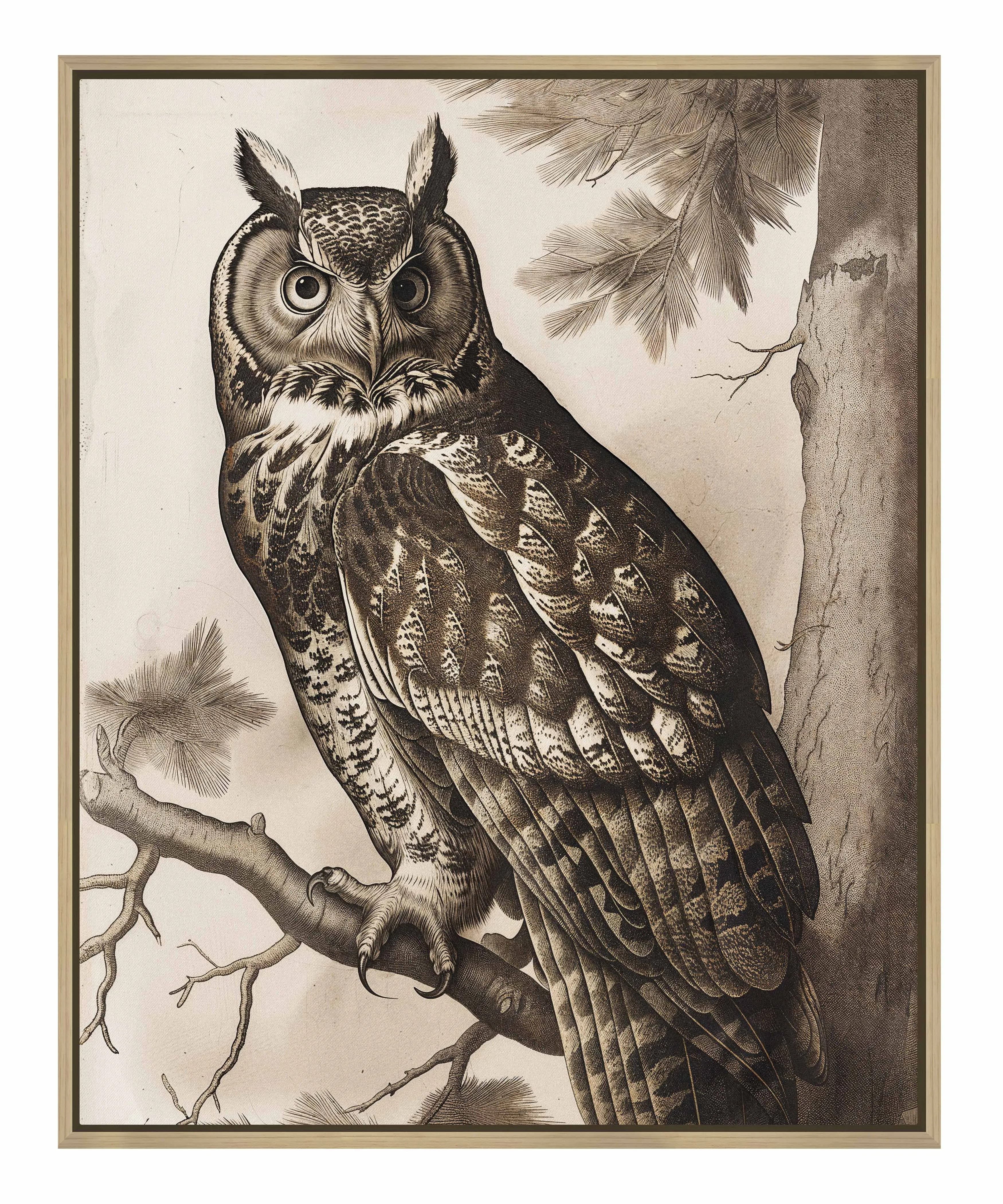 Silent Guardian - Great Horned Owl - Gallery Wrapped Canvas