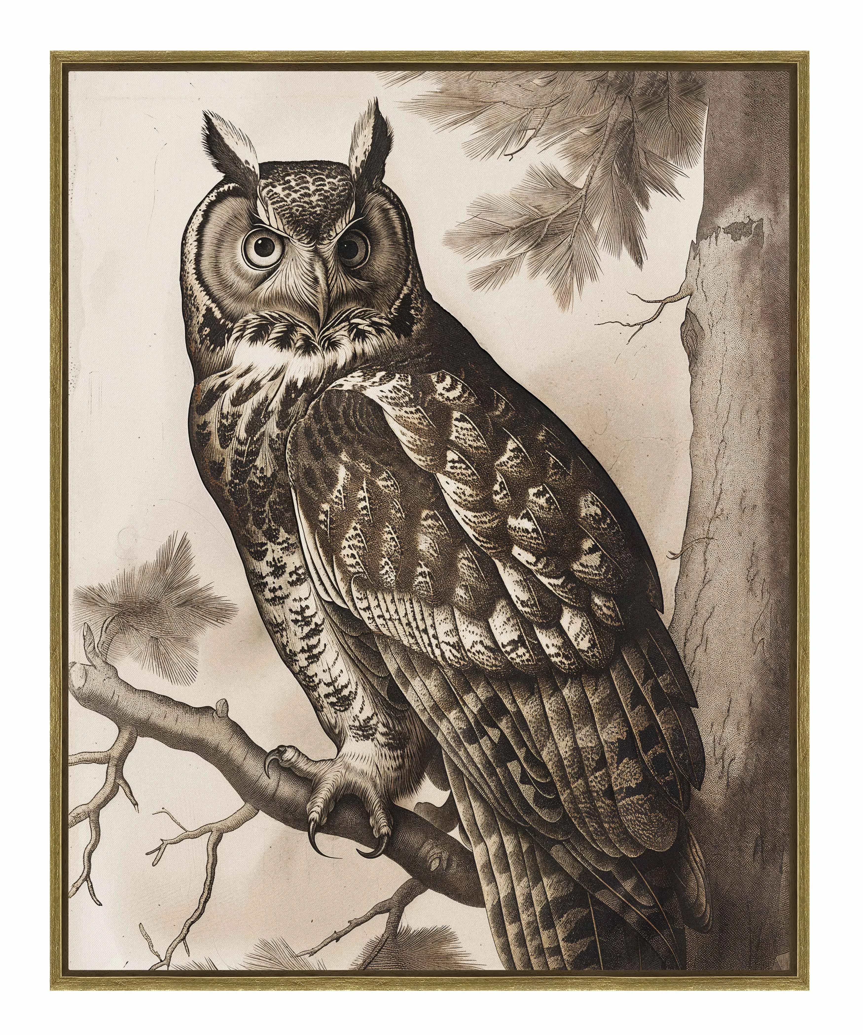 Silent Guardian - Great Horned Owl - Gallery Wrapped Canvas
